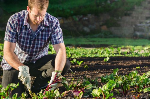 Team member preparing a local Hainault garden bed