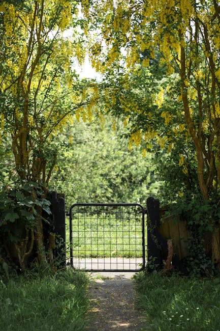 A narrow dirt pathway leads into a lush, green wooded area near Hainault Forest Country Park, with dense foliage and mature trees on both sides creating a canopy overhead. The pathway is partially blo