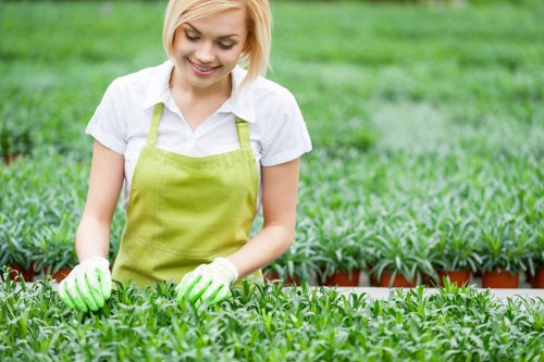 Professional gardener maintaining a garden in Hainault